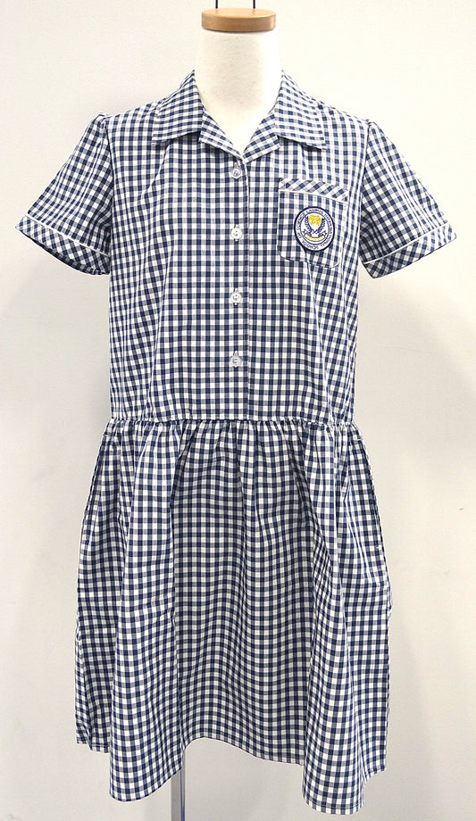 2-20 Primary Summer Dress